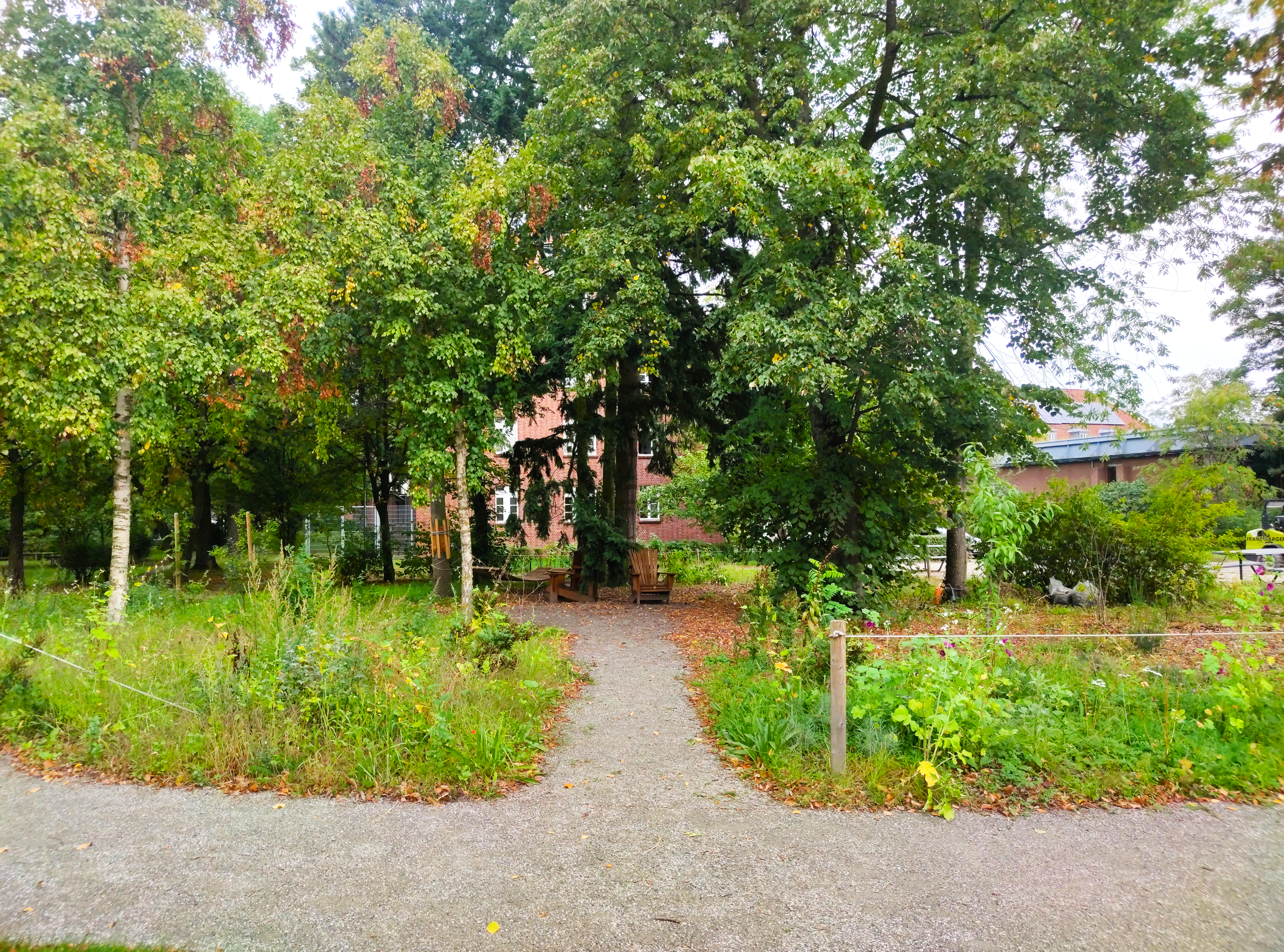 LEUPHANA FOOD FOREST